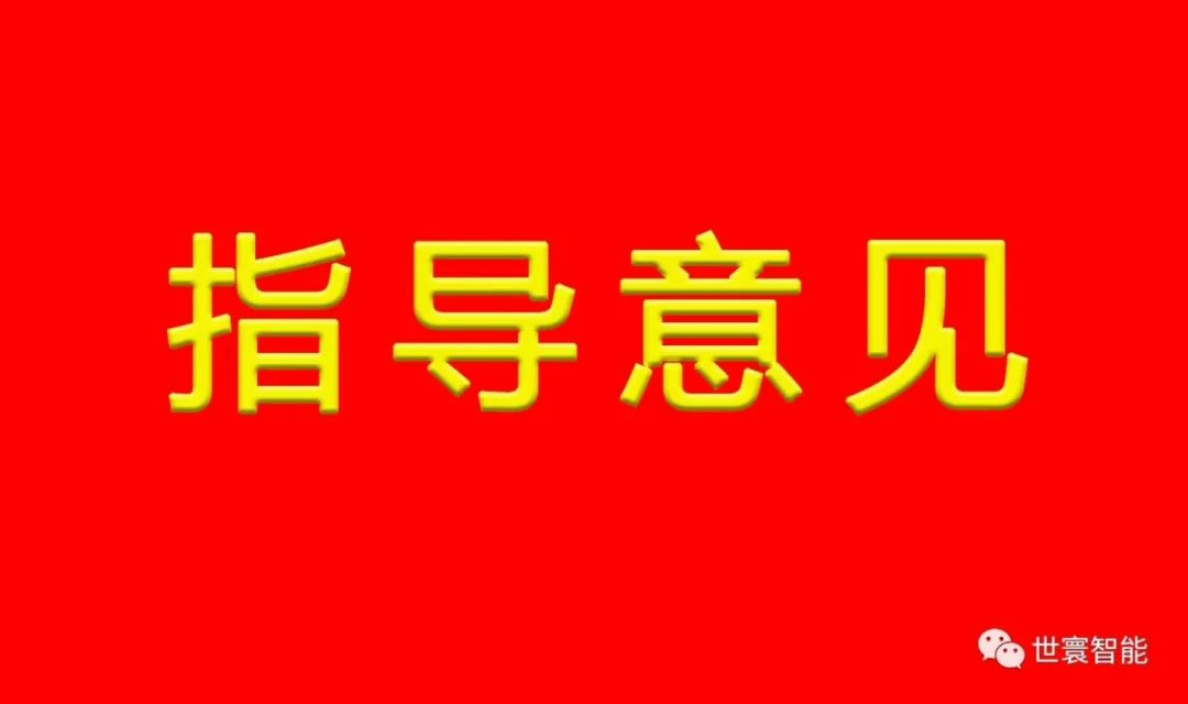 国务院关于加强数字政府建设的指导意见